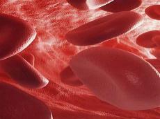 3d动画bloodlust第二季